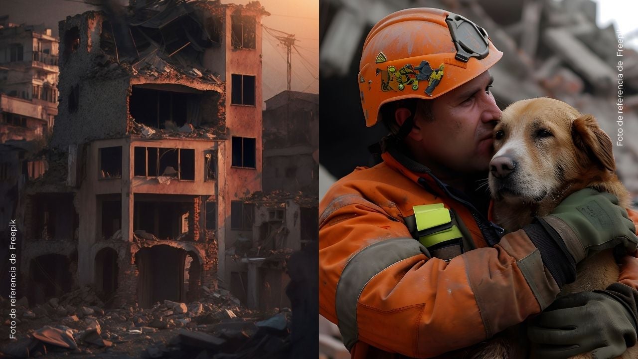 Salió entre los escombros con sus mascotas en brazos tras fuerte sismo en Venezuela
