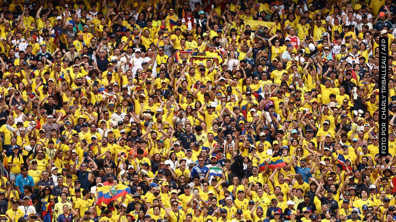 Ecuatorianos en las tribunas
