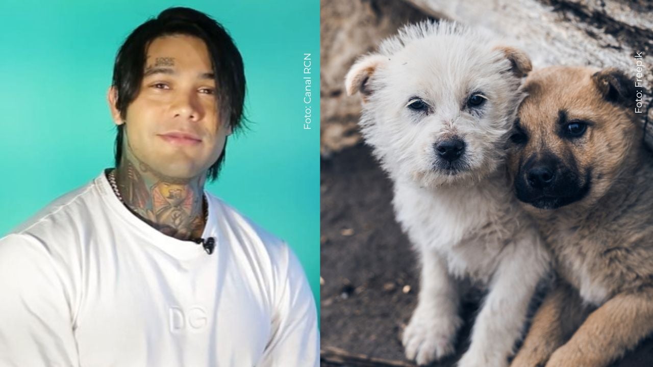 Yeferson Cossio recibió miles de críticas tras poner una insólita condición para rescatar perritos abandonados