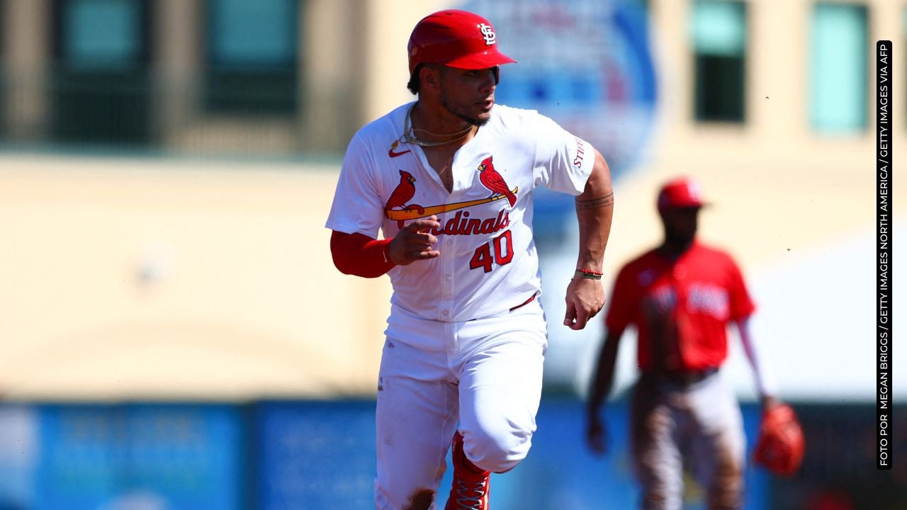 Wilson Contreras rompió en llanto tras una increíble jugada durante un partido contra Los Yankees (MEGAN BRIGGS / GETTY IMAGES NORTH AMERICA / GETTY IMAGES VIA AFP).