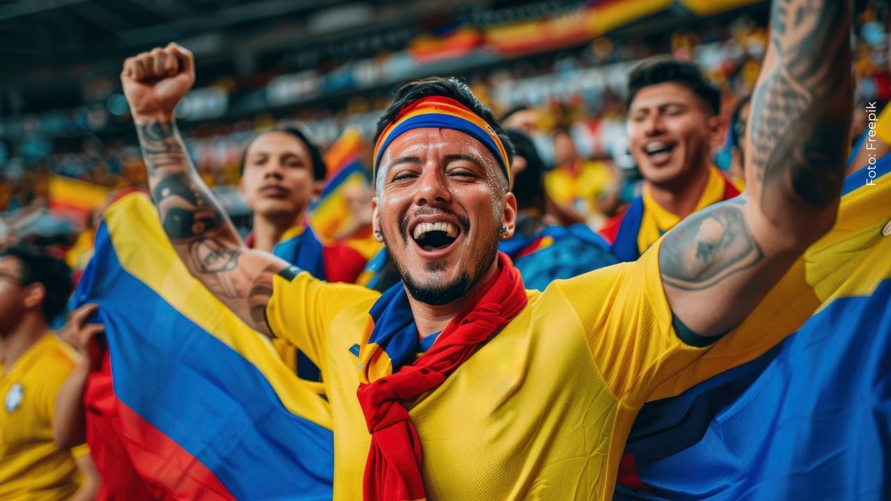 Hincha de la Selección Colmbia en un partido