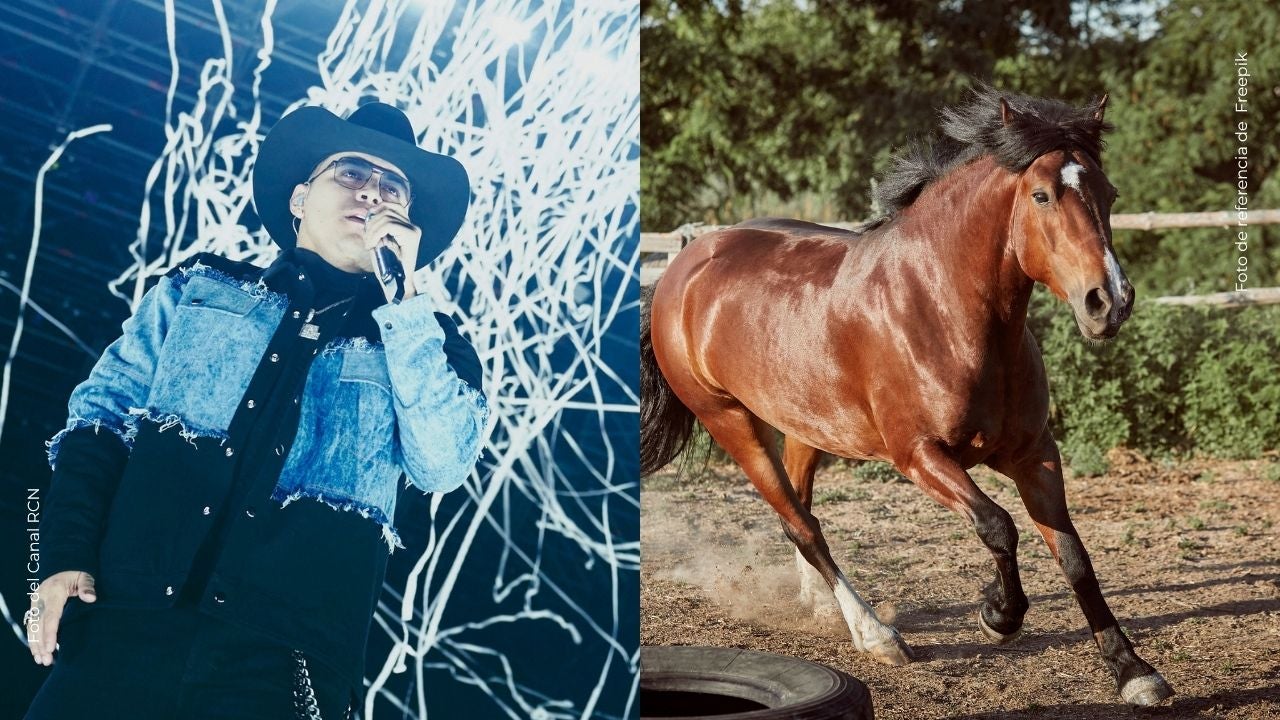 Así reaccionó el caballo de Yeison Jiménez tras escuchar su voz