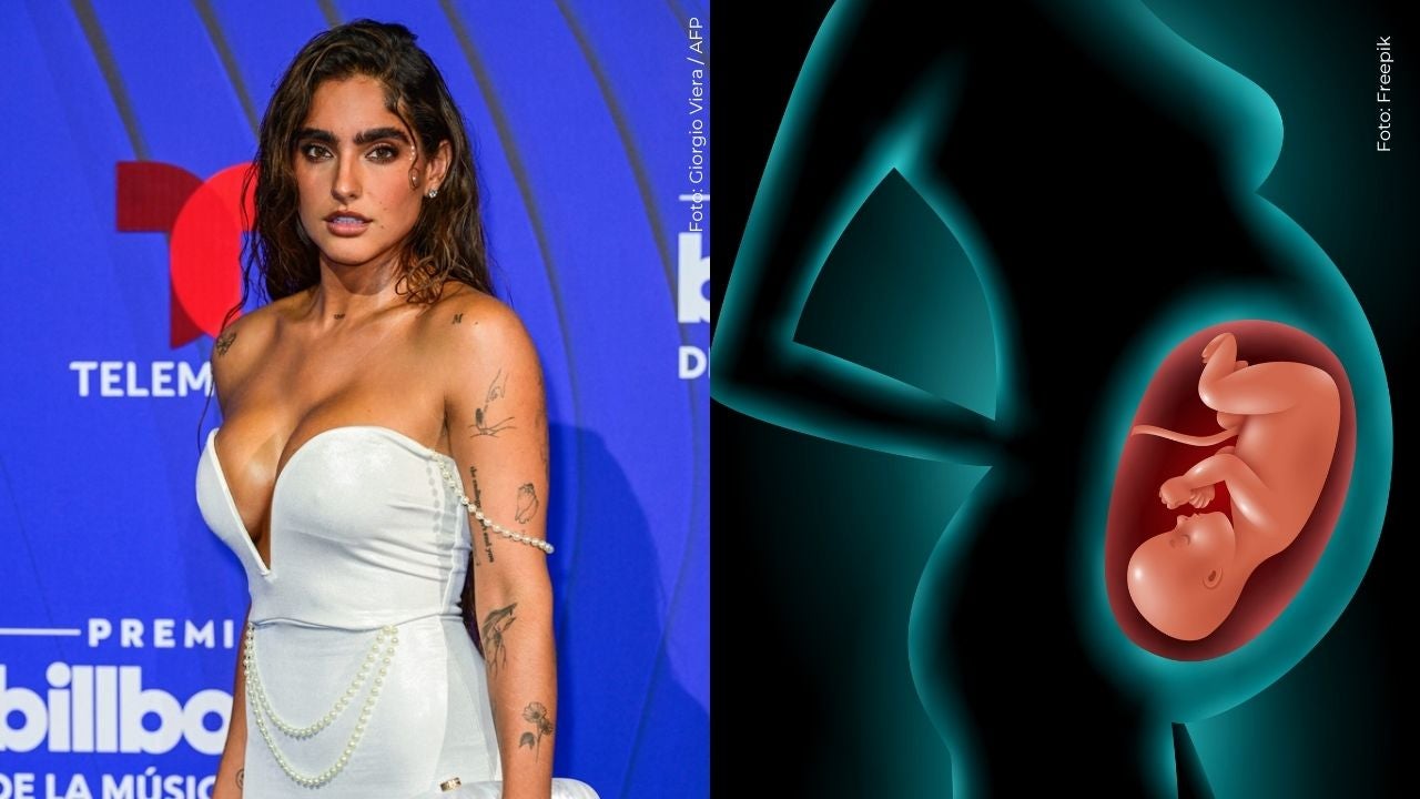 Isabella Ladera abrió el debate sobre comer la placenta: estos son los beneficios que se le atribuyen