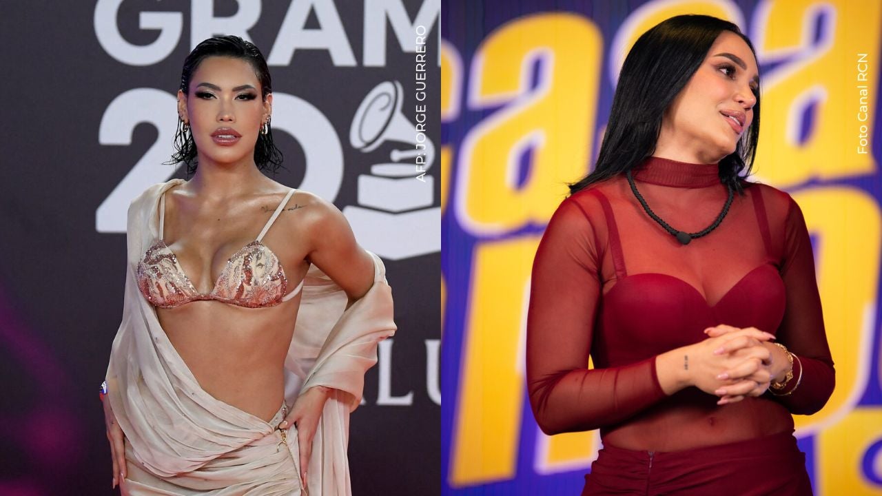 Ana del Castillo golpeó a Andrea Valdiri