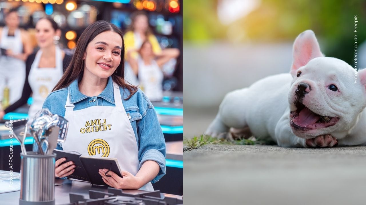 Lina Tejeiro compartió emotiva escena entre su perrito y su pancita de embarazo