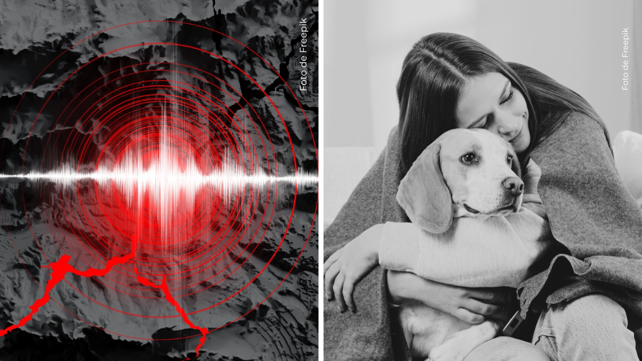 Ilustración movimiento sísmico - Mujer abrazado a un perro.