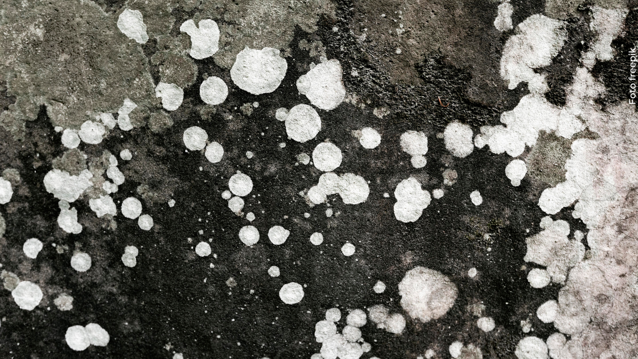 Granizó en el municipio de Bosconia