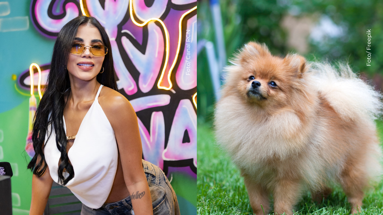 Karina García generó indignación por unas declaraciones sobre un perro de raza