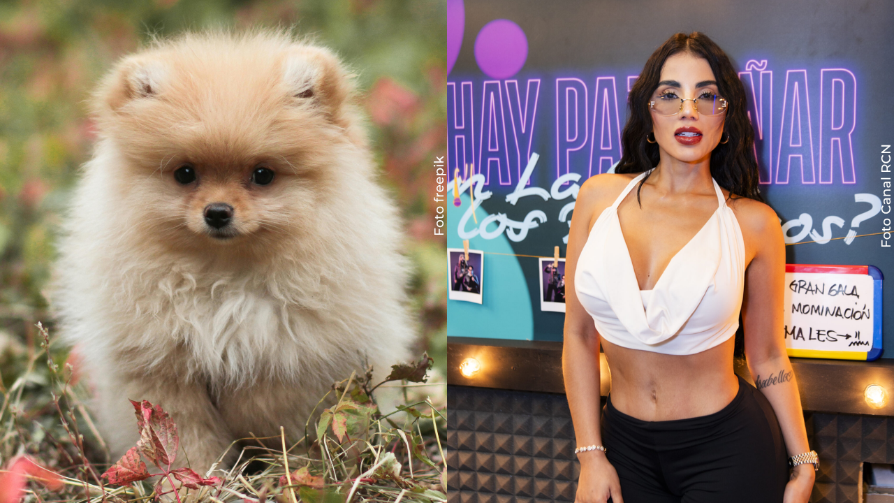 Karina García rompió el silencio tras la polémica por sus comentarios sobre los perros