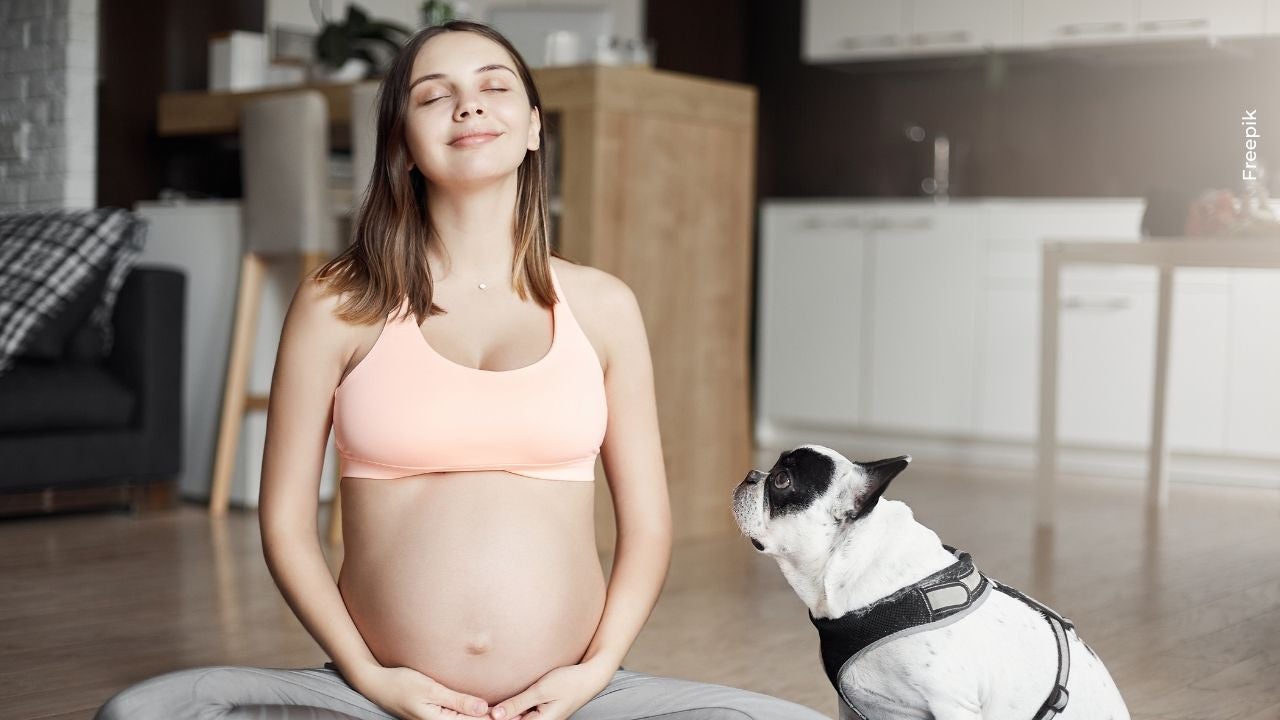 beneficios de los perros en el embarazo de las mujeres