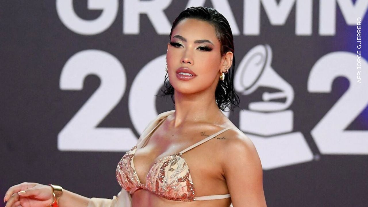ana del castillo luce su pancita de embarazo
