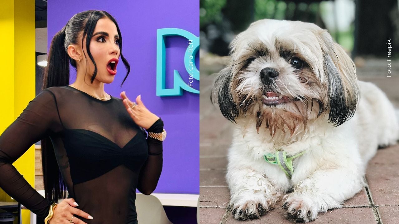 Dibujan mural contra Karina García por polémicas declaraciones sobre los perros "no originales"