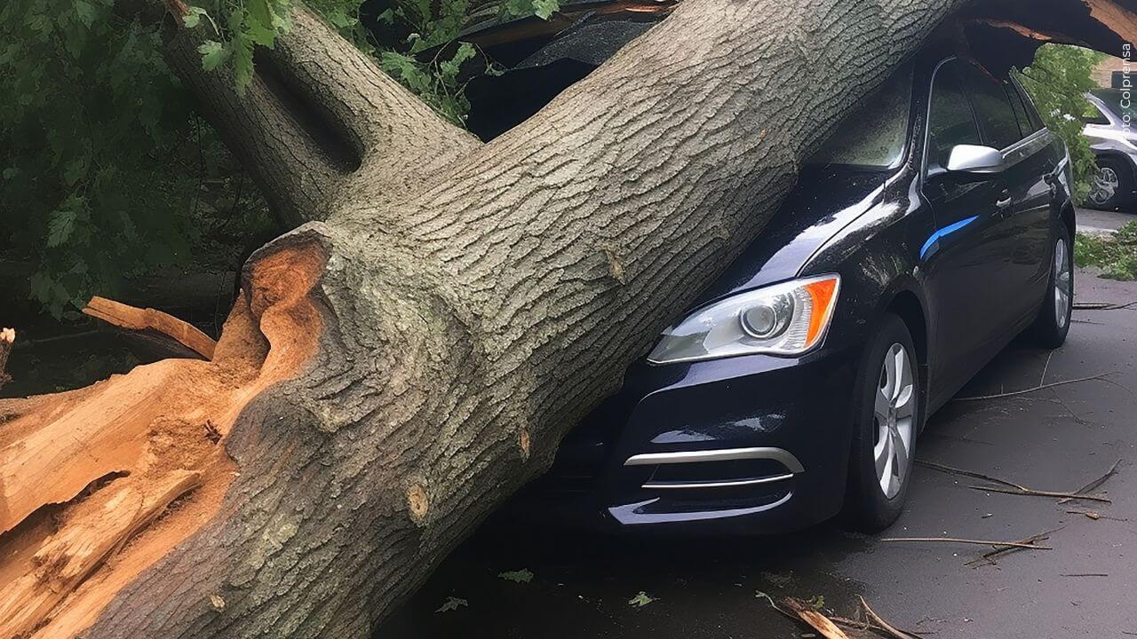 El carro del jugador colombiano recibió el fuerte impacto de un árbol.