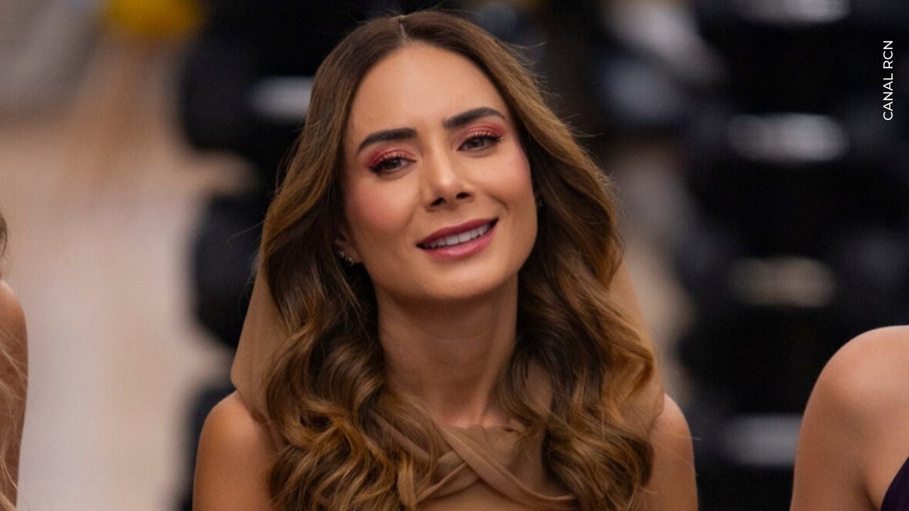johanna fadul luce embarazo